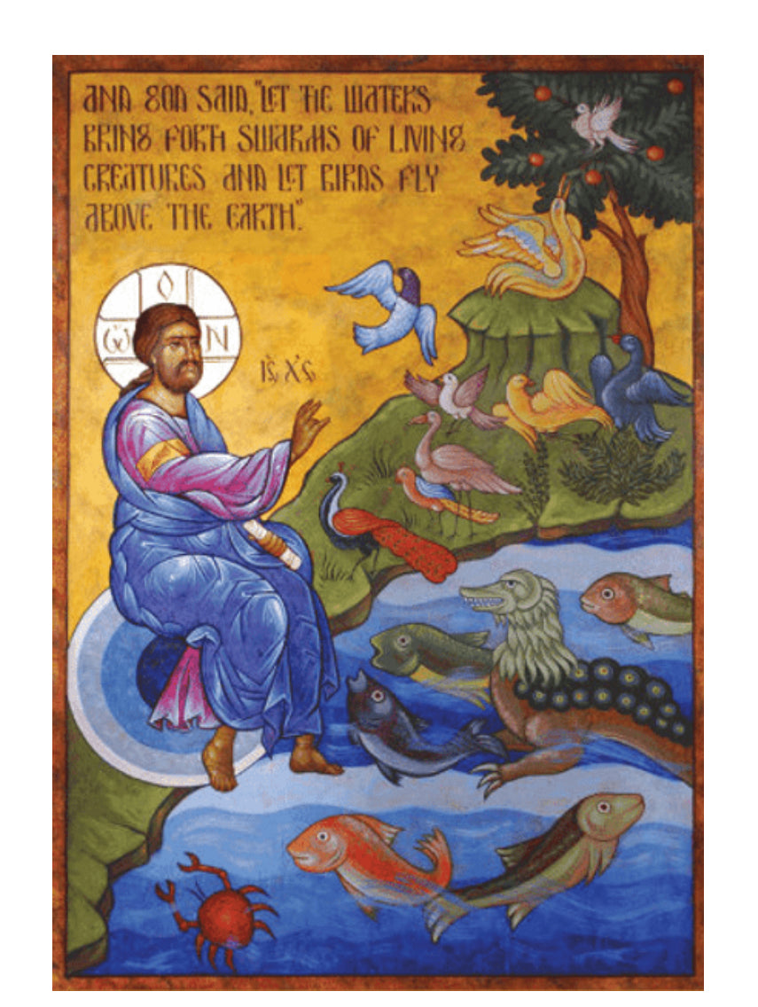 Creation of birds and sea Creatures Icon Medium