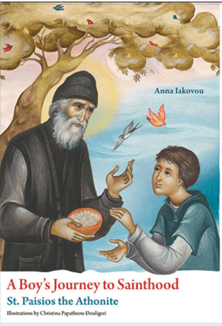 A Boy's Journey to Sainthood Book